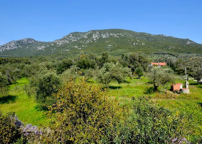 Seaside Maria Appartamento *